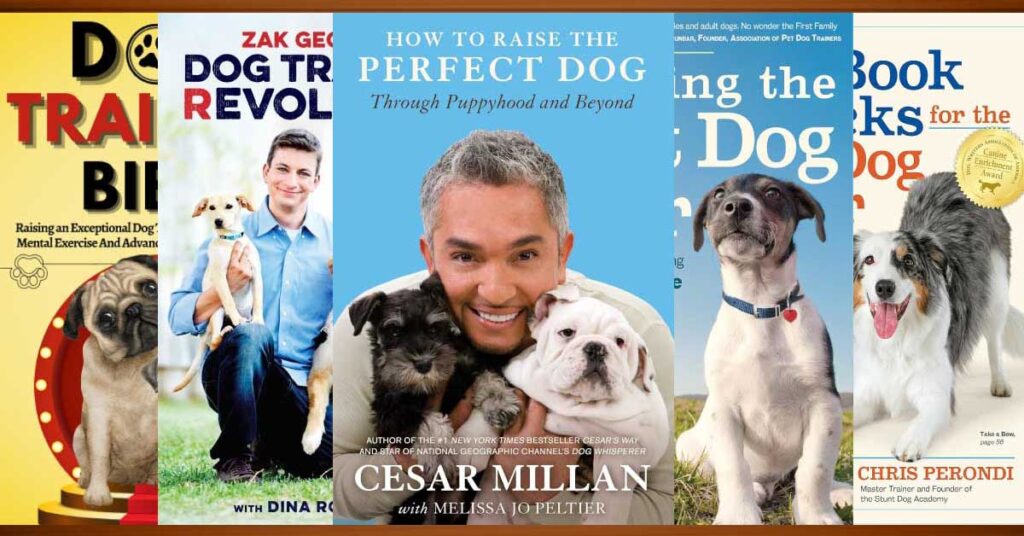 Best Dog Training Books for Obedient and Happy Dogs